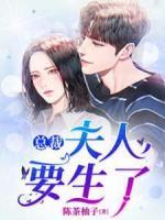 总裁,夫人要生了!