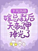下凡历劫，嫁总裁后天帝马甲掉光了