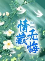 情藏无悔
