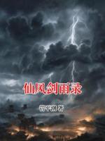 仙风剑雨录