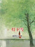 灯下雪