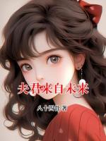 夫君来自未来