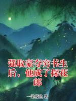 强取豪夺穷书生后，他成了探花郎
