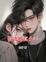 假离婚真分手