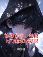被裁员后，老板上门跪求我复职