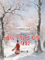 通房丫鬟之无爱一身轻
