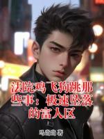法院鸡飞狗跳那些事：极速坠落的富人区