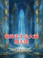我的妻子是大乘期大佬