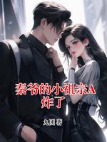 秦爷的小祖宗A炸了
