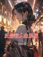 反偷窃人生系统