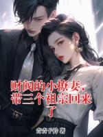 财阀的小撩妻，带三个祖宗回来了
