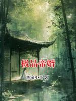极品帝婿