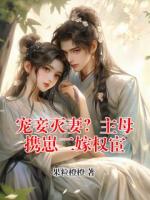 宠妾灭妻？主母携崽二嫁权宦
