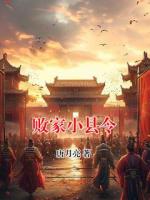 败家小县令