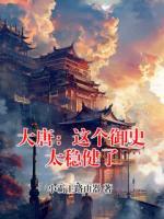 大唐：这个御史太稳健了