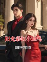 阳光彩虹小斑马