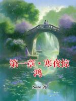 第一章·寒夜惊鸿