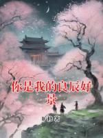 你是我的良辰好景