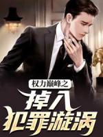 权力巅峰之掉入犯罪漩涡