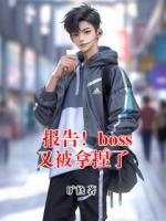 报告！boss又被拿捏了