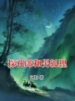 探花郎和男狐狸