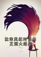 沈聿风纪时语林芷烟大结局
