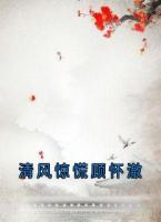 清风惊慌顾怀澈