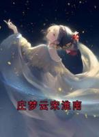 庄梦云宋淮南
