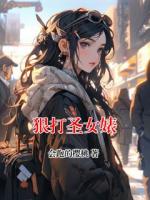 狠打圣女婊
