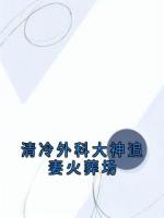 清冷外科大神追妻火葬场