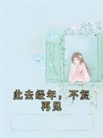 此去经年，不复再见