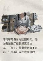 全网围观我怀了渣总龙凤胎