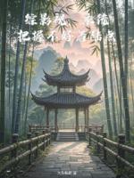 综影视，系统把握不好着陆点