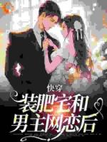 快穿：装肥宅和男主网恋后