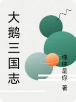 大鹅三国志