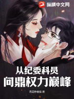 问鼎巅峰之暗香红途