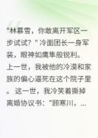 军少强娶我，重生后我选择自由