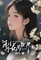 梨花燃尽时