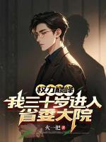 权力巅峰:我三十岁进入省委大院