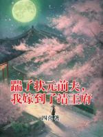 踹了状元前夫，我嫁到了靖王府