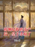 被侧妃折磨流产后，皇子杀疯了