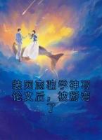 装网恋骗学神写论文后，被掰弯了