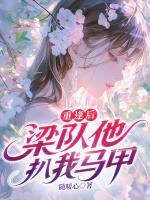 重逢后，梁队他扒我马甲