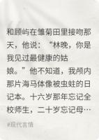 每日重置的初恋