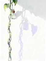 男友纵容青梅发我私房照