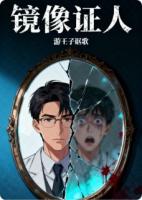 镜像证人
