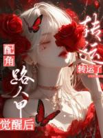 综影视：路人甲觉醒后配角转运了