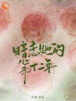 暗恋她的第十二年