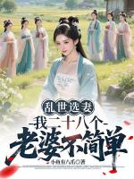 乱世选妻，我二十八个老婆不简单