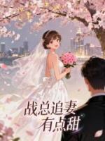 战总追妻有点甜